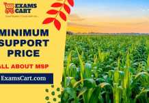 Minimum Support Price – All About MSP Minimum Support Price
